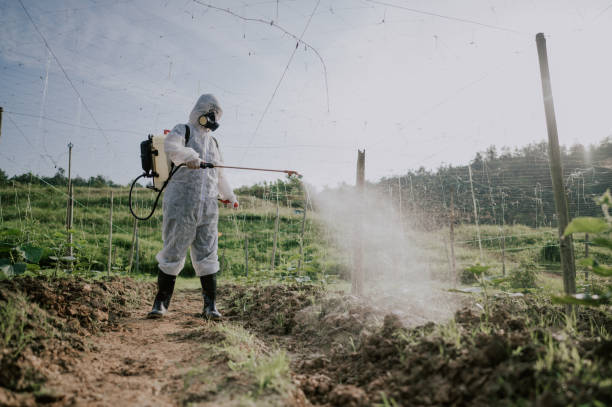 Best Pest Prevention Services  in Athena, OR