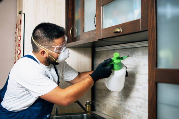 Best Local Pest Control Services  in Athena, OR