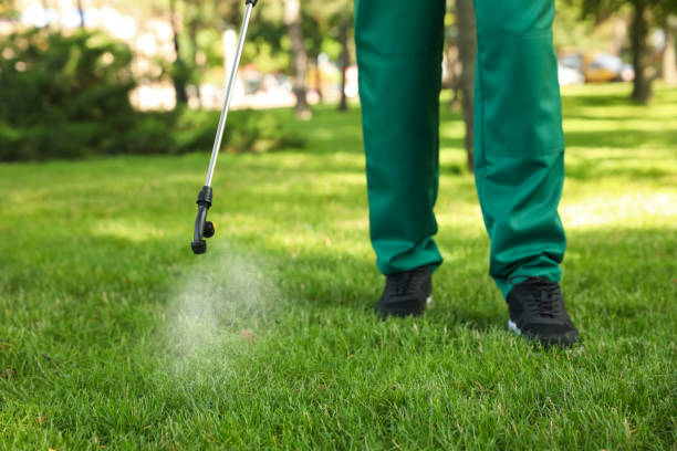 Best Emergency Pest Control  in Athena, OR