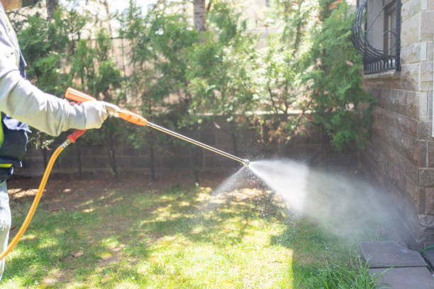 Best Affordable Pest Control Services  in Athena, OR