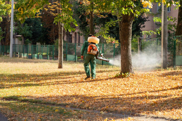 Best Bed Bug Extermination  in Athena, OR