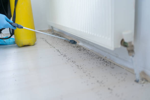 Best Best Pest Control Companies  in Athena, OR
