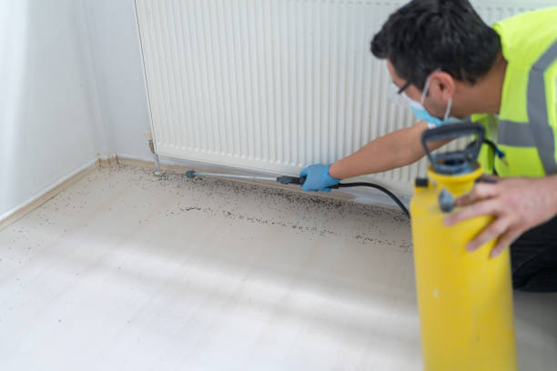 Best Local Pest Control Services  in Athena, OR